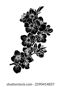 Cheery blossom branch black silhouette. March birth month flower. Sakura flower vector outline illustration isolated on white background