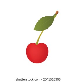  Cheery fruit vector with green leaf on isolated on white background png