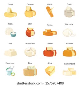 Chees and foodvector cartoon icon set.Vector isolated illustration swiss, parmesan, ricotta, edem.Icon set of chees product.