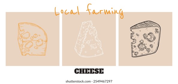 Banner de queijo. Concepção para embalagens de produtos láteos. Marca artesanal para queijos naturais. Camembert, Parmesan e Cheddar desenhados à mão em estilo retro de esboço. Ilustração vetorial.