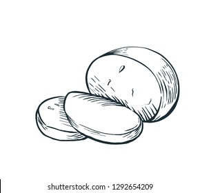 Cheese Buffalo mozzarella hand drawn engraving. Vector illustration.
