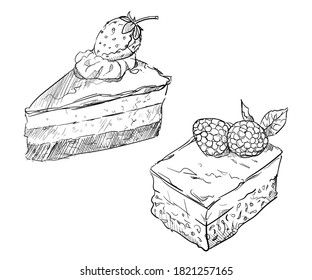 Cheese cake brownies slice berry on top hand drawn sketches white isolated background