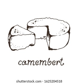 Cheese camembert hand drawn vector illustration, isolated on white background with hand drawn text