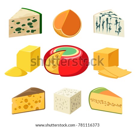 Cheese. cheeses types and slices delicatessen groceries isolated on white, gouda and feta, parmigiano and cheddar, gorgonzola and roquefort, vector illustration
