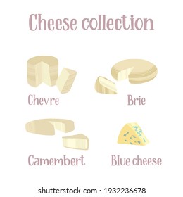 Cheese collection. Different kinds of cheeses. Chevre, brie, camembert and blue cheese. Vector hand drawn flat isolated illustration with dry brush texture and hand written lettering for your design.