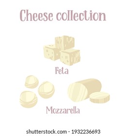 Cheese collection. Different kinds of cheeses. Feta and mozzarella. Vector hand drawn flat isolated illustration with dry brush texture and hand written lettering for your design.