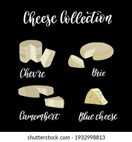 Cheese collection. Different kinds of cheeses. Chevre, brie, camembert and blue cheese. Vector hand drawn flat isolated illustration with dry brush texture and hand written lettering for your design.