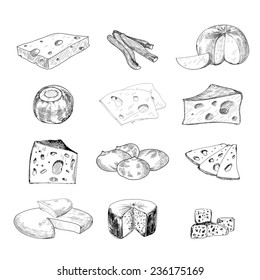 Cheese collection. Set of hand drawn graphic illustration