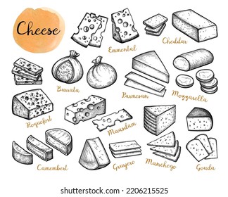 Cheese collection. Set of ink sketches. Hand drawn vector illustration isolated on white background. Vintage style