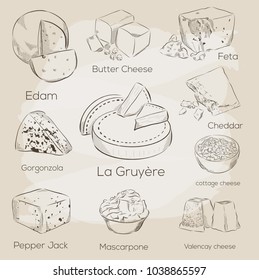 Cheese collection. Vector hand drawn illustration of cheese types