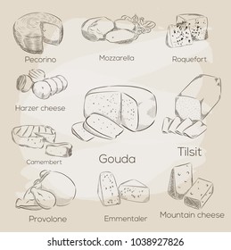 Cheese collection. Vector hand drawn illustration of cheese types