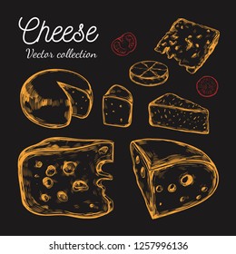 Cheese collection. Vector hand drawn  illustration of cheese types . 