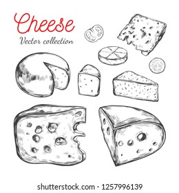 Cheese collection. Vector hand drawn  illustration of cheese types . 