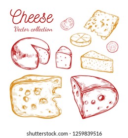 Cheese collection. Vector hand drawn  illustration of cheese types . 