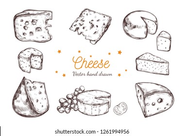 Cheese collection. Vector hand drawn  illustration of cheese types . 