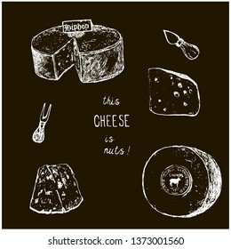 Cheese collection. Vector hand drawn illustration of cheese types . Sketch isolated on white