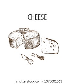 Cheese collection. Vector hand drawn illustration of cheese types . Sketch isolated on white