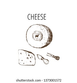 Cheese collection. Vector hand drawn illustration of cheese types . Sketch isolated on white