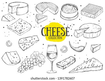 Cheese collection. Vector hand drawn illustration