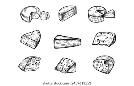 Colección de queso. Vector dibujado a mano ilustración de los tipos de queso . Aislado sobre blanco
