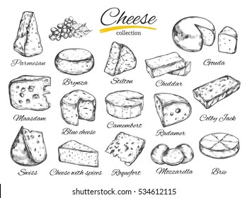 Cheese collection. Vector hand drawn  illustration of cheese types . Isolated on white