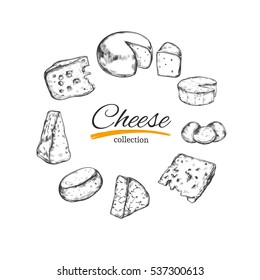 Cheese collection. Vector hand drawn illustration of cheese types . Isolated on white
