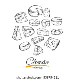 Cheese collection. Vector hand drawn illustration of cheese types . Isolated on white