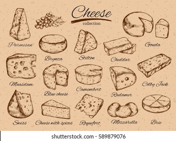 Cheese collection. Vector hand drawn  illustration of cheese types . Isolated on hand drawn craft paper