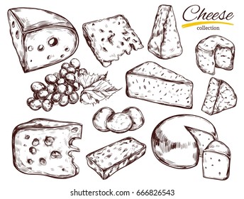 Cheese collection. Vector hand drawn  illustration of cheese types . Isolated on white