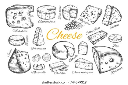 Cheese collection. Vector hand drawn  illustration of cheese types . Isolated on white