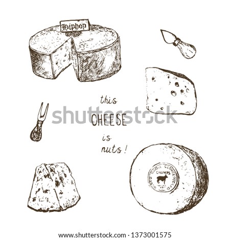 Cheese collection. Vector hand drawn illustration of cheese types . Sketch isolated on white