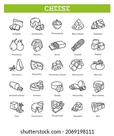 Cheese collection. Vector illustration of cheese types