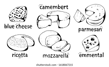 Cheese collection, vector set, isolated on white background, blue cheese, emmental, camembert, mozzarella, ricotta, parmesan with hand drawn text