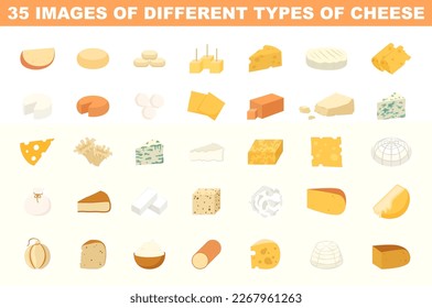 Cheese colored images set. Gourmet dairy products. Appetizer or snack of wide ranges of flavors, textures, and forms made by coagulation of the milk. Flat vector illustration