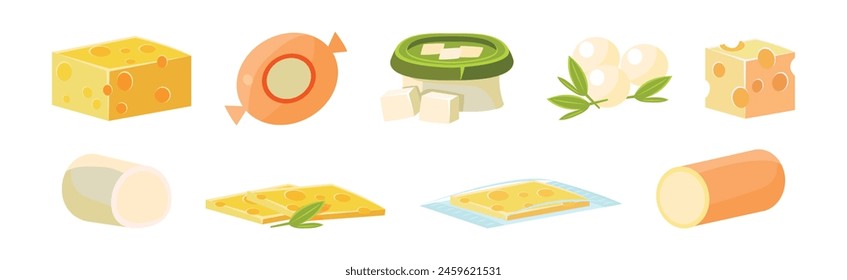 Cheese Different Type Flat Icon and Object Vector Set