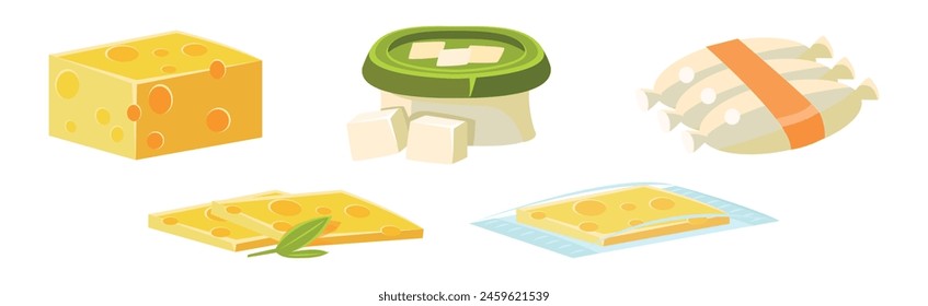 Icono plano de diferentes tipos de queso y conjunto de Vector de objetos