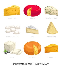 Cheese different types. Maasdam, edam, roquefort, mozzarella, brie, parmesan, feta, gouda, cheddar. Dairy products icons. Vector illustration collection.