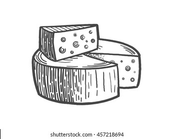 Cheese engraving style vector illustration. Scratch board style imitation