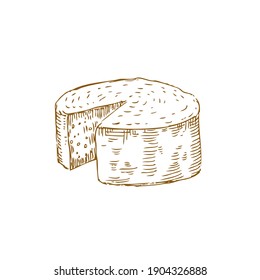 Cheese engraving vector illustration. Hand drawn food.
