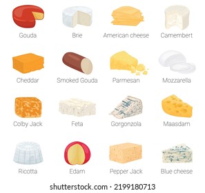 Cheese flat icon set with gouda brie american cheese camembert cheddar smocked gouda parmesan mozarella colby jack feta gorgonzola maasdam ricotta edam pepper jack blue cheeses vector illustration