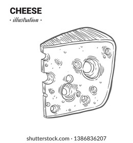 Cheese fresh food vector hand drawn illustration