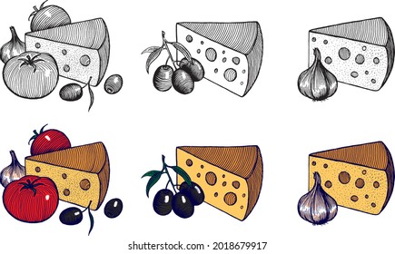 Cheese with garlic, olives and tomatoes, vector illustration. Vintage graphics and handwork. A collection of fruits and berries.
