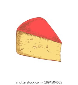 Cheese Gouda isolated on white background. Dairy products. Vintage style design. Template for postcard, banner, poster, web design, menu. Hand Drawn vector illustration.