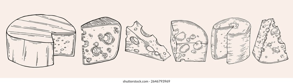 Cheese hand drawn set. Ink doodle sketch isolated on white background. Hand drawn vector illustration. Vintage style stroke drawing.