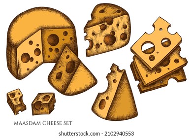 Cheese hand drawn vector illustrations collection. Colored maasdam.