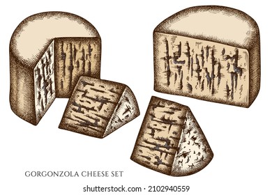 Cheese hand drawn vector illustrations collection. Colored gorgonzola.