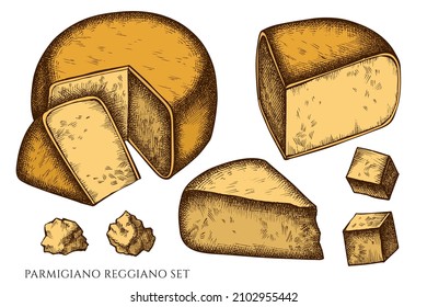 Cheese hand drawn vector illustrations collection. Colored parmigiano reggiano.