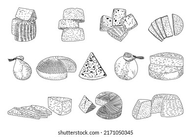Cheese hand drawn vector illustrations. Farm market product. Healthy eating. Organic food illustration. Isolated Cheese set.