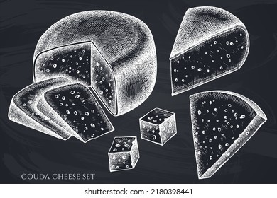 Cheese hand drawn vector illustrations collection. Chalk gouda cheese.