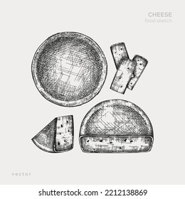 Cheese hand-drawn illustration collection. Vintage food design elements. Vector cheese sketches in engraved style. Dairy products drawings for menu, stores, farm, banners, and packaging design.